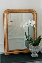 French Louis Philippe Mirror, Circa 1840–1860