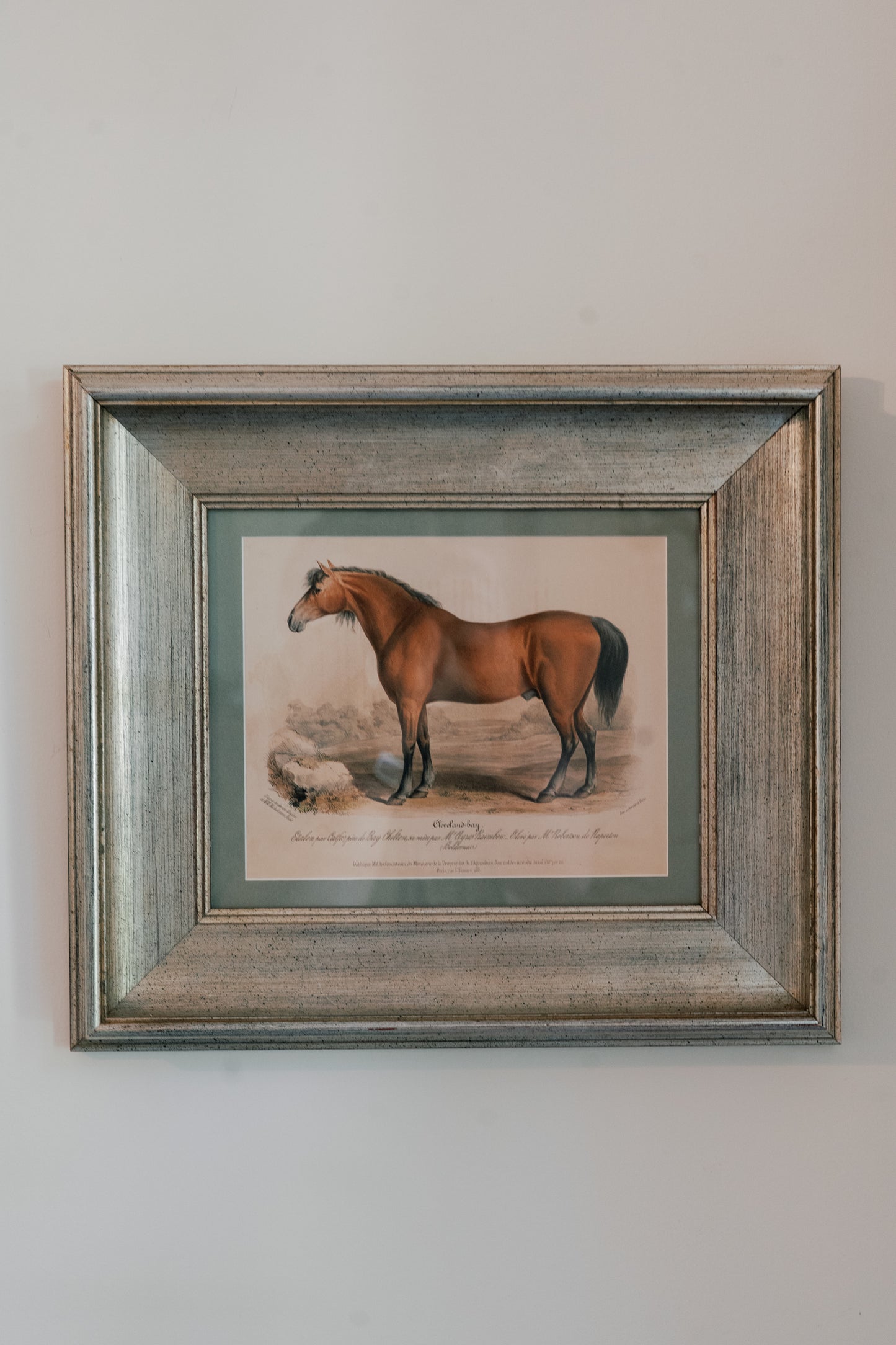 Antique French Hand-Colored Lithograph of Horse