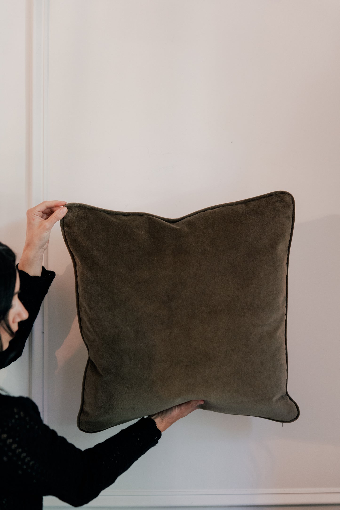 French Toile & Velvet Pillow