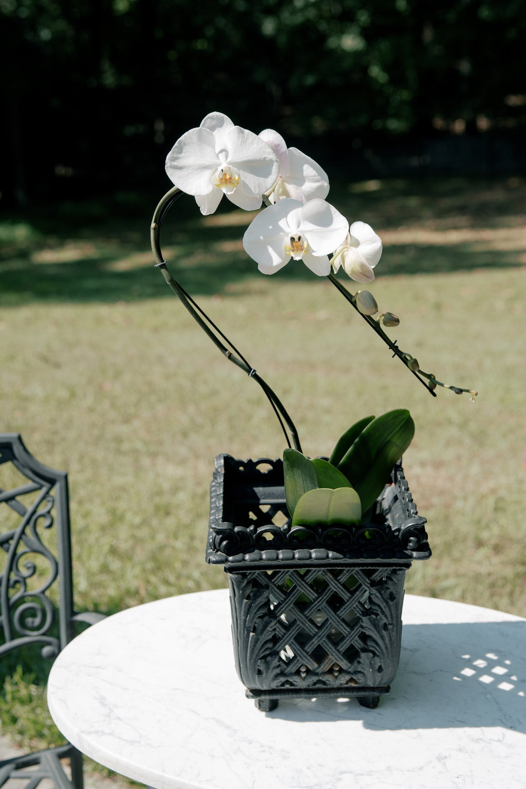 Antique French Painted Cast Iron Lattice Jardinière